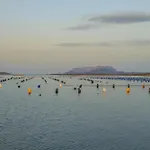 Pupureddu Con Terrazza Ad * Olbia