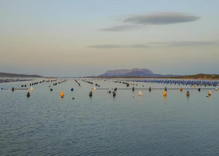 Pupureddu Con Terrazza Ad * Olbia